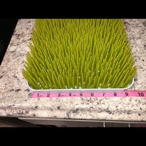 Boon Grass